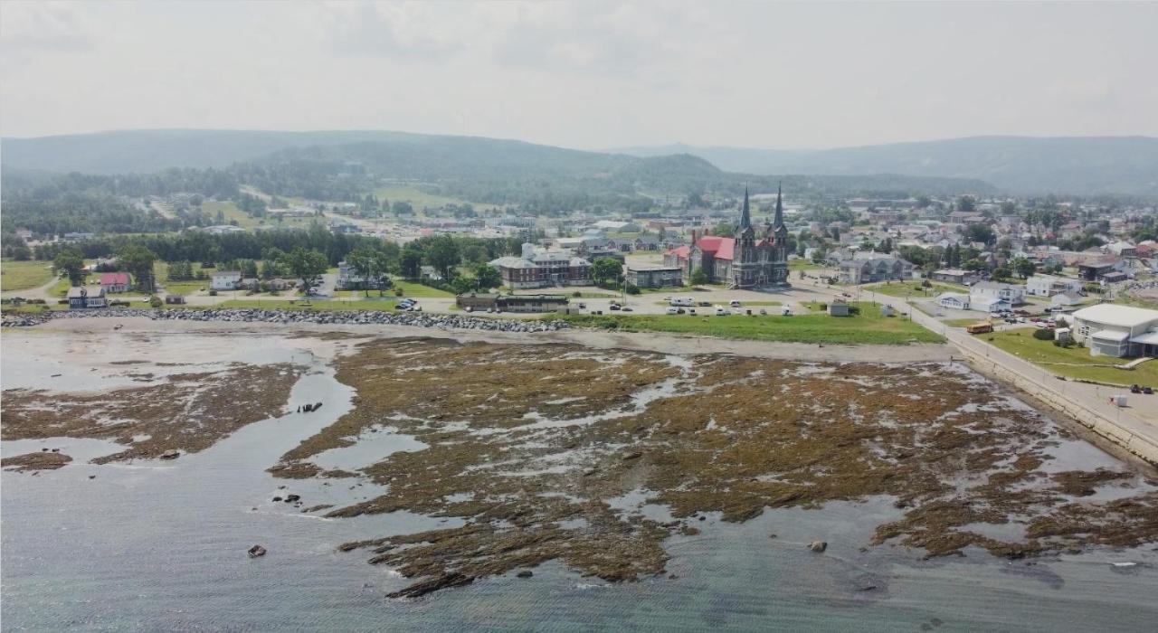 Le Couvent Sainte Anne-des-Chênes Exterior foto